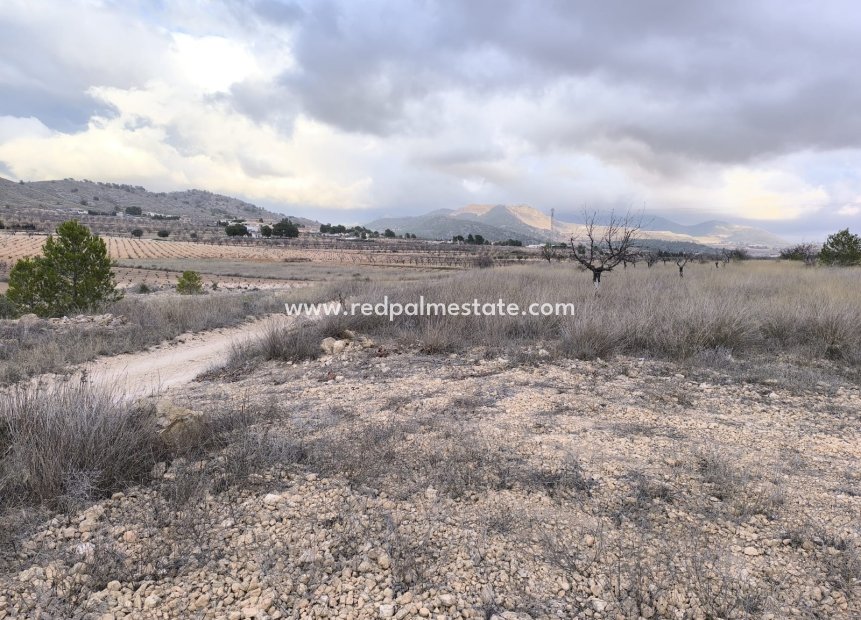 Revente - Parcelle -
La Solana