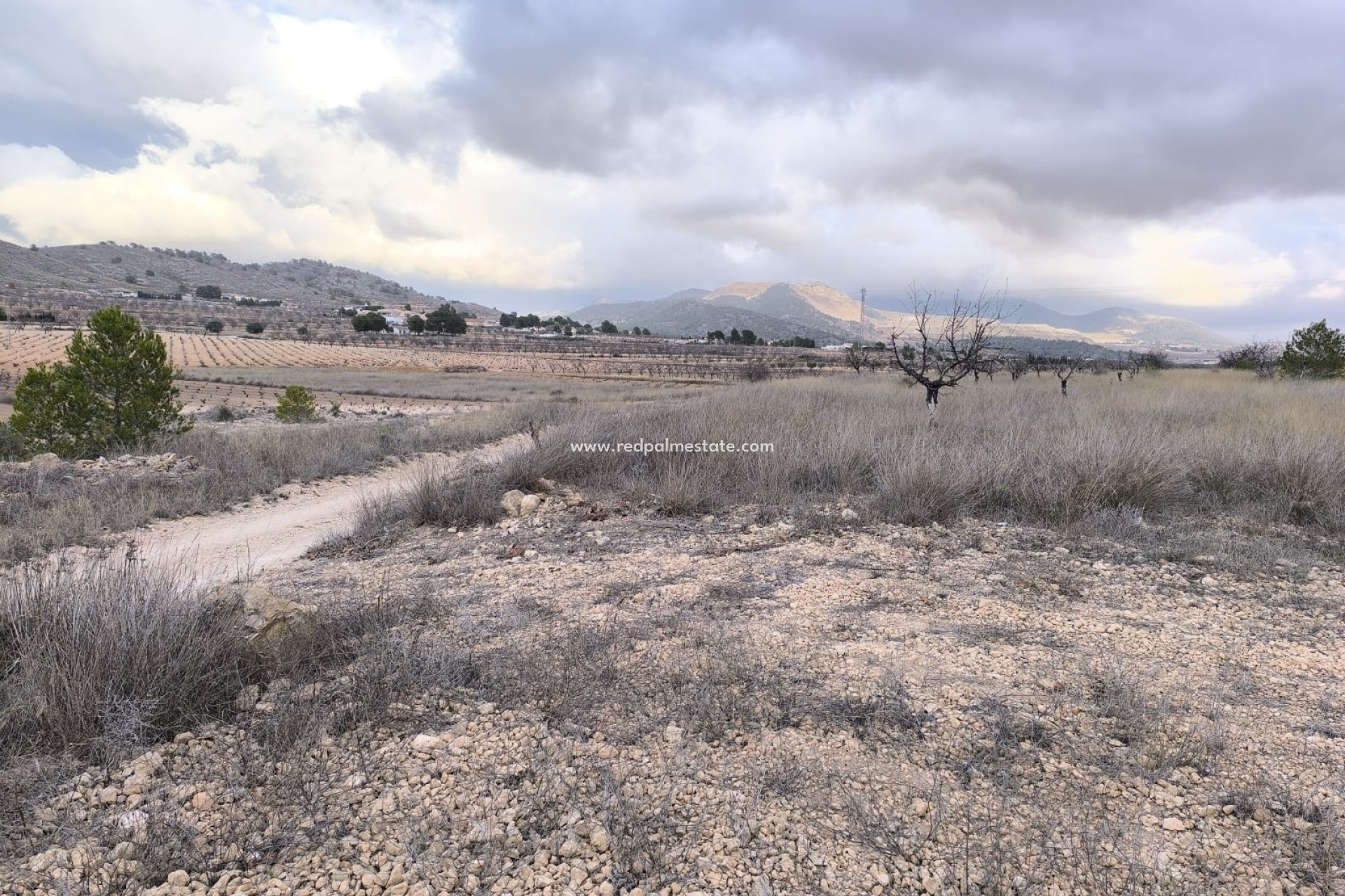 Revente - Parcelle -
La Solana