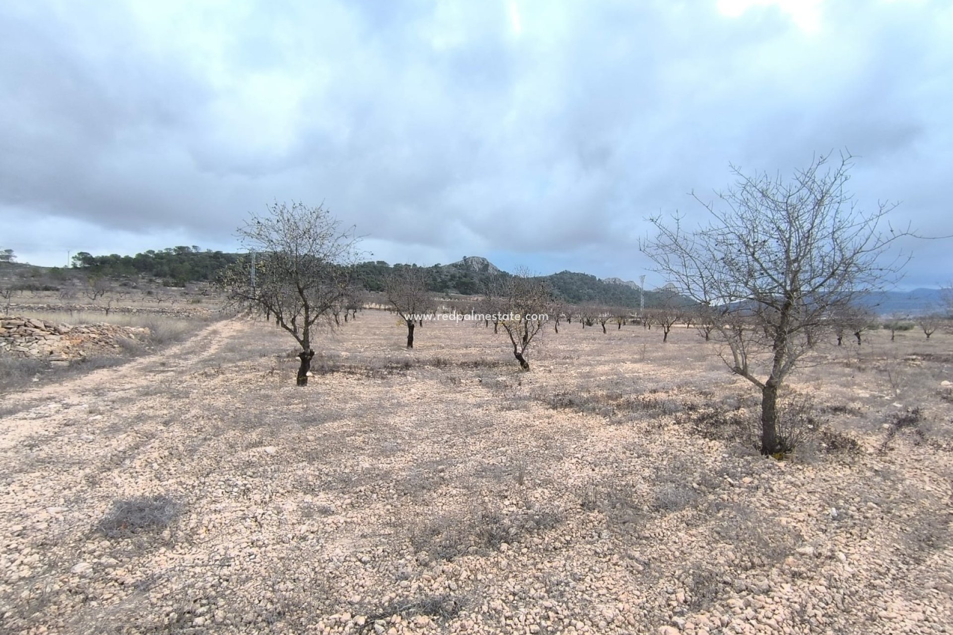 Revente - Parcelle -
La Solana