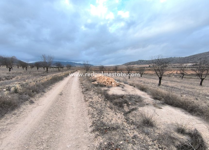 Revente - Parcelle -
La Solana
