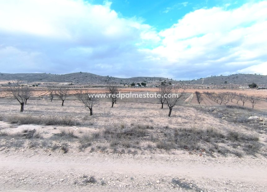 Revente - Parcelle -
La Solana