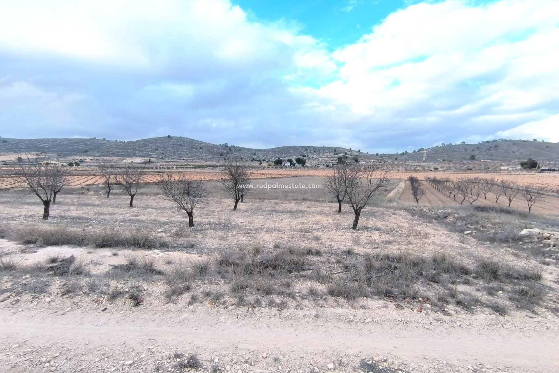 Revente - Parcelle -
La Solana