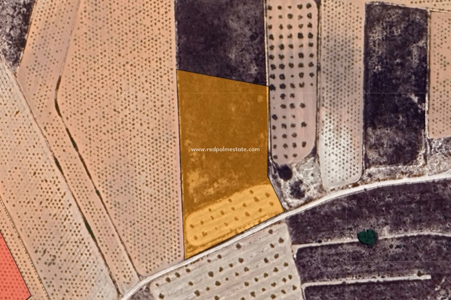 Revente - Parcelle -
La Solana