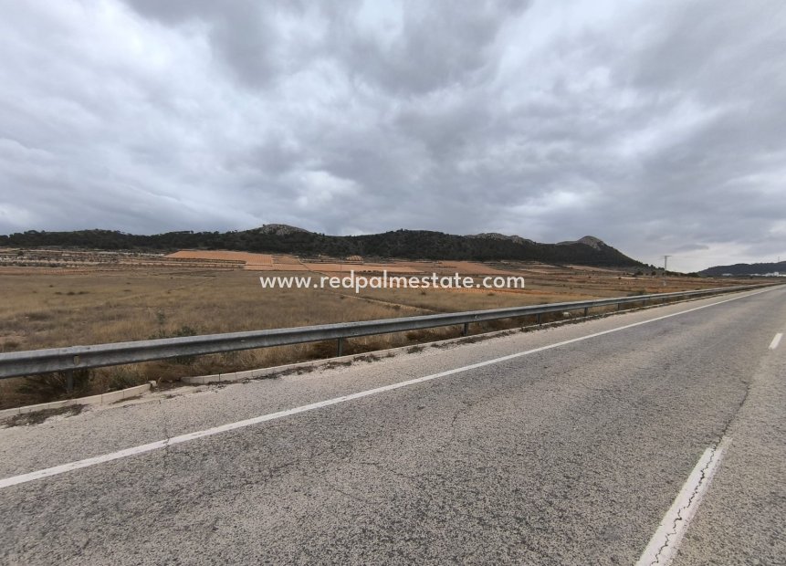 Revente - Parcelle -
La Solana