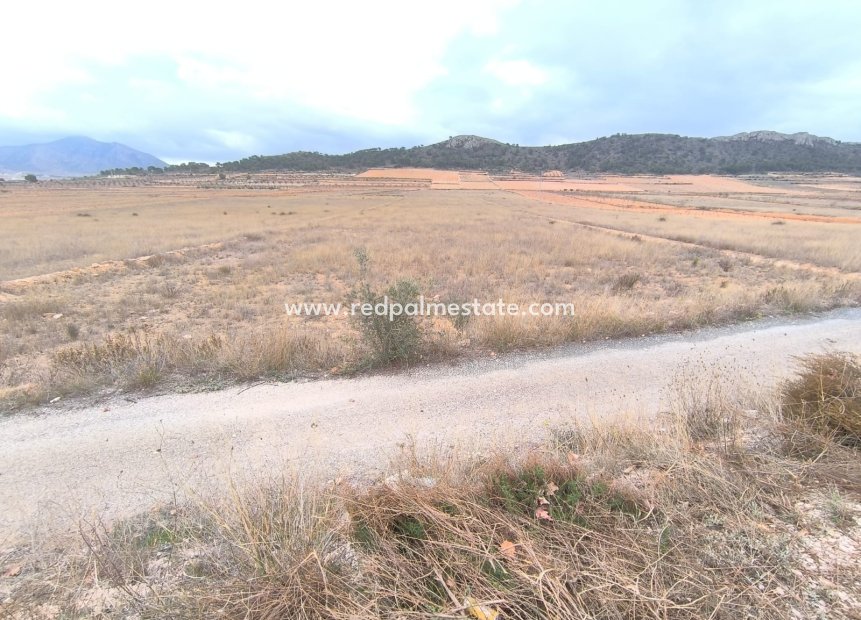 Revente - Parcelle -
La Solana