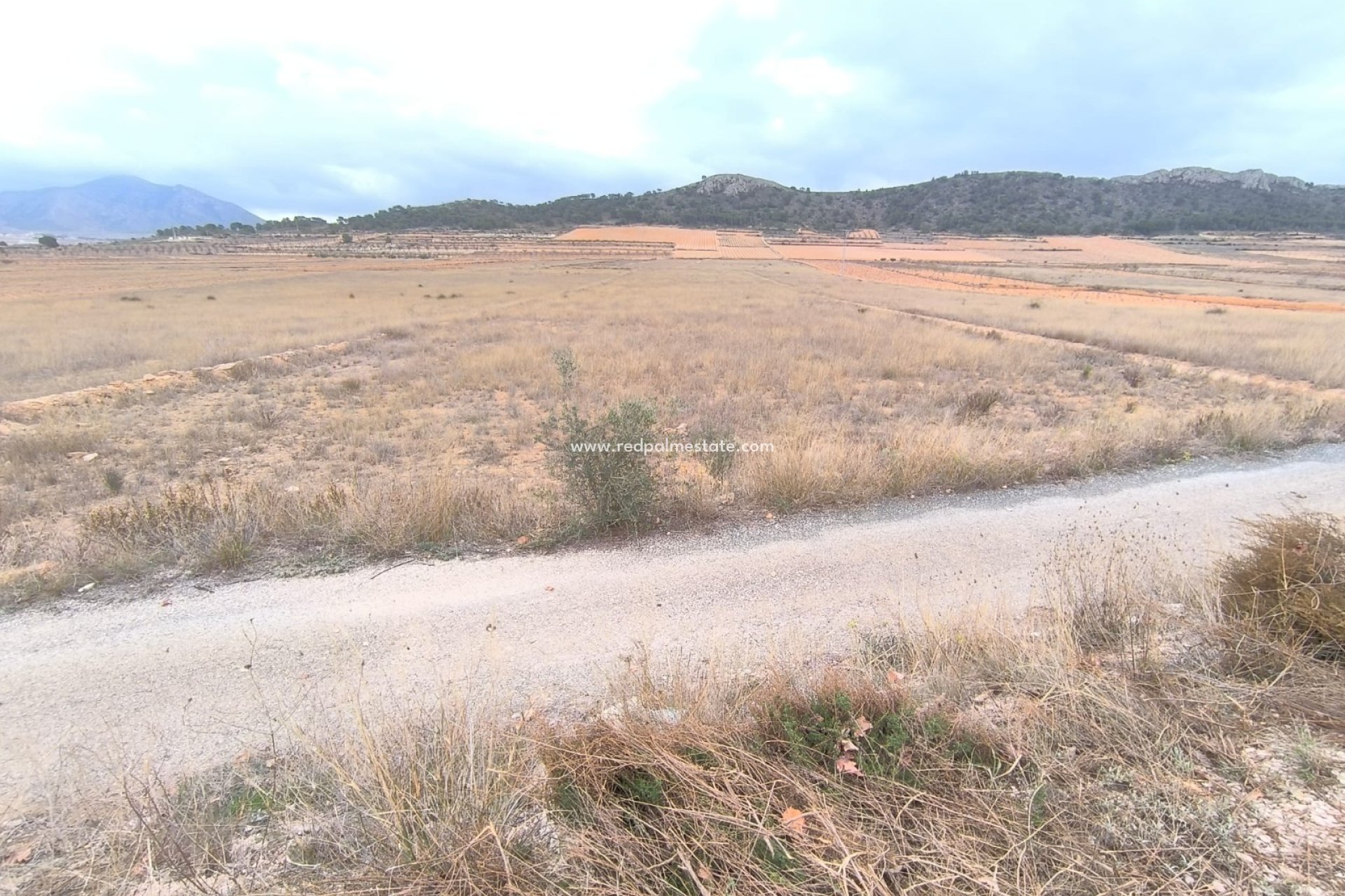 Revente - Parcelle -
La Solana