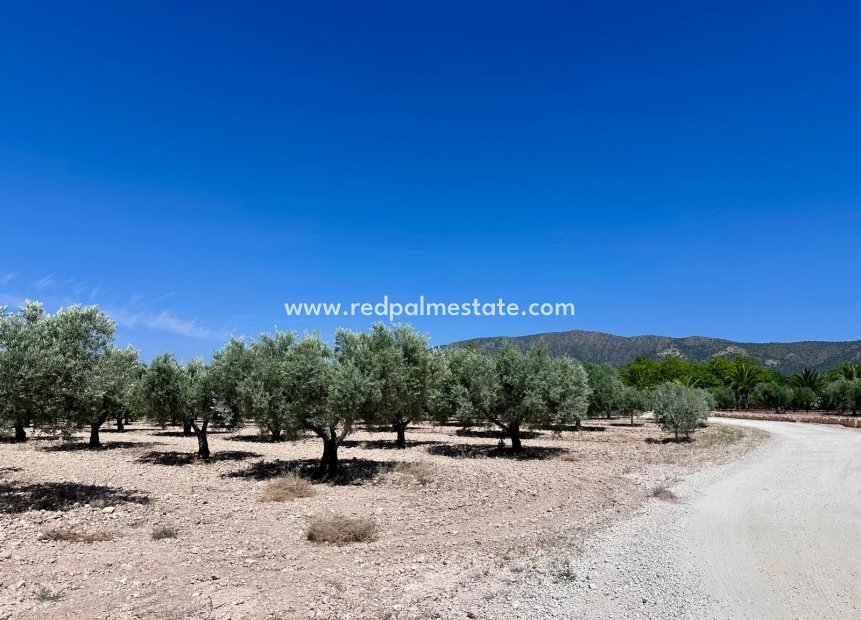 Revente - Parcelle -
Monóvar/Monóver - Inland