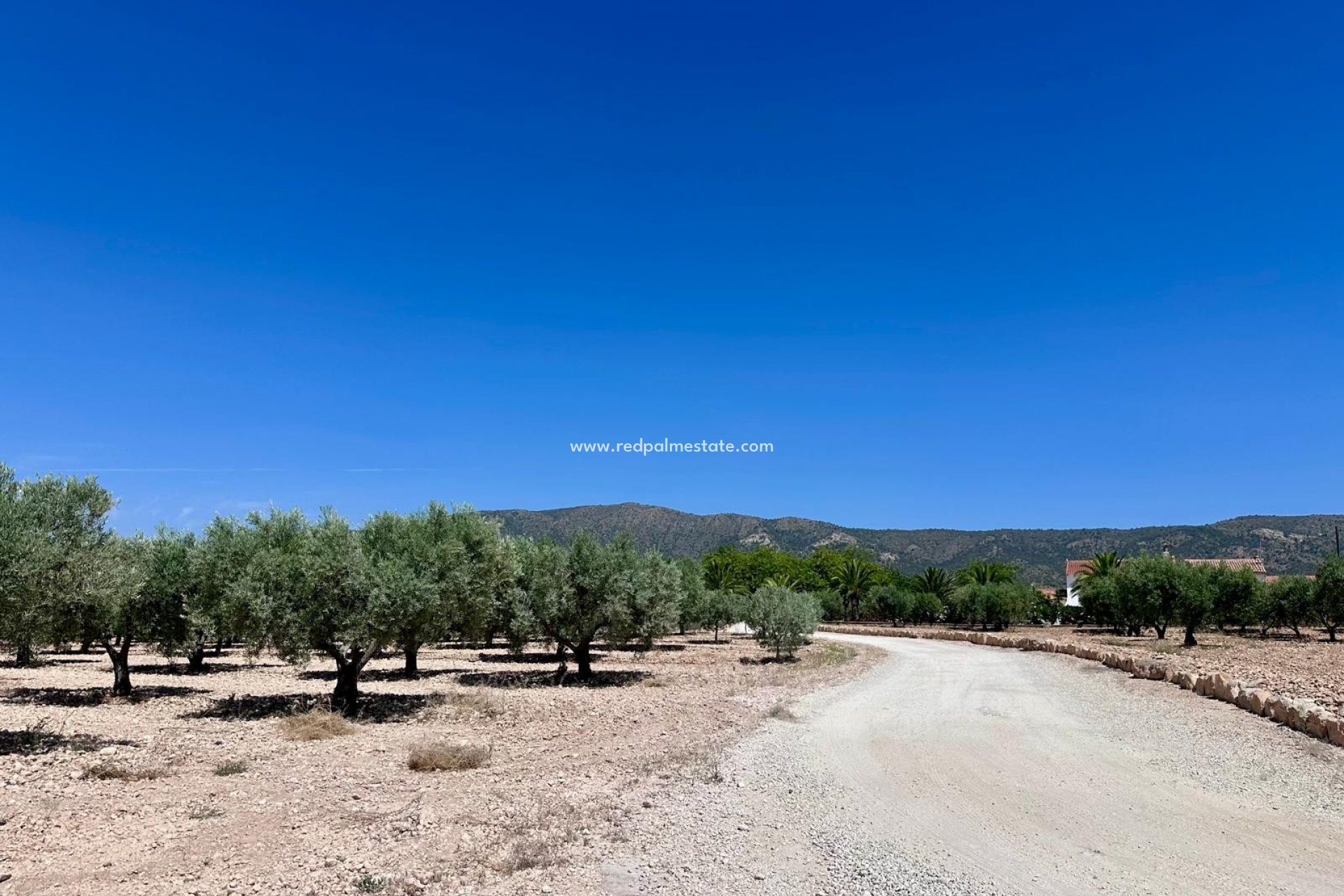 Revente - Parcelle -
Monóvar/Monóver - Inland