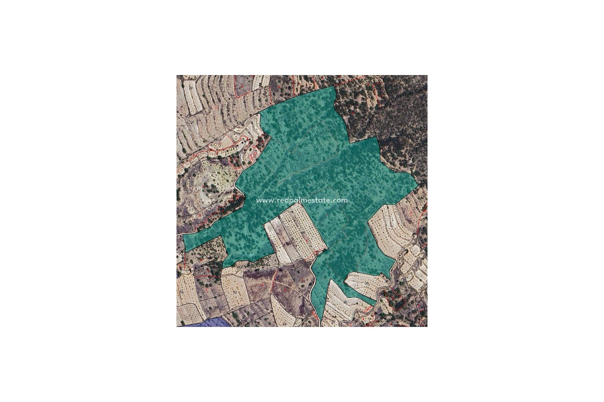 Revente - Parcelle -
Monóvar/Monóver - Inland