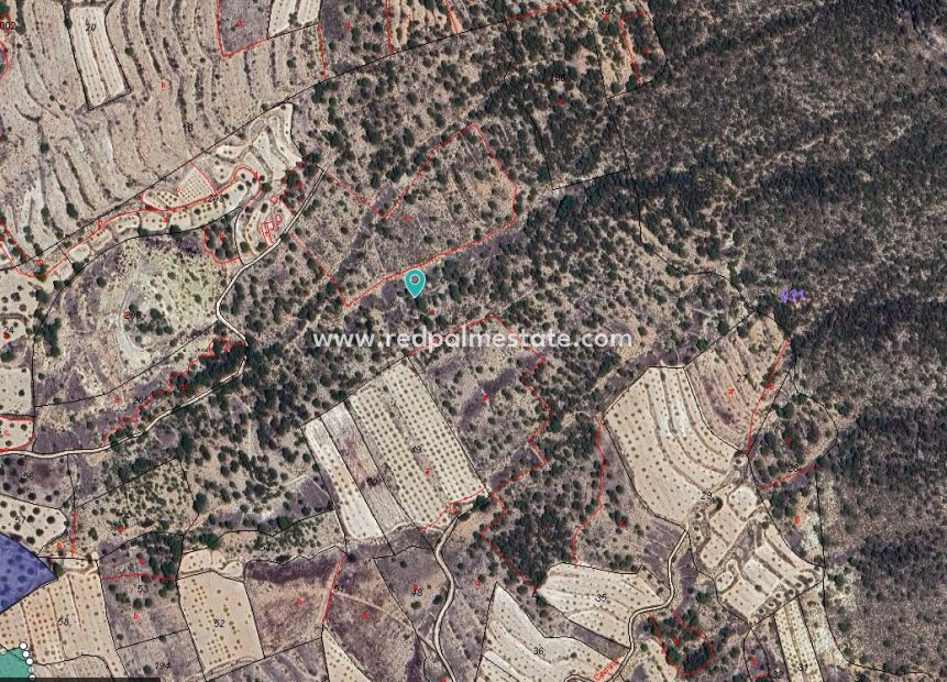 Revente - Parcelle -
Monóvar/Monóver - Inland