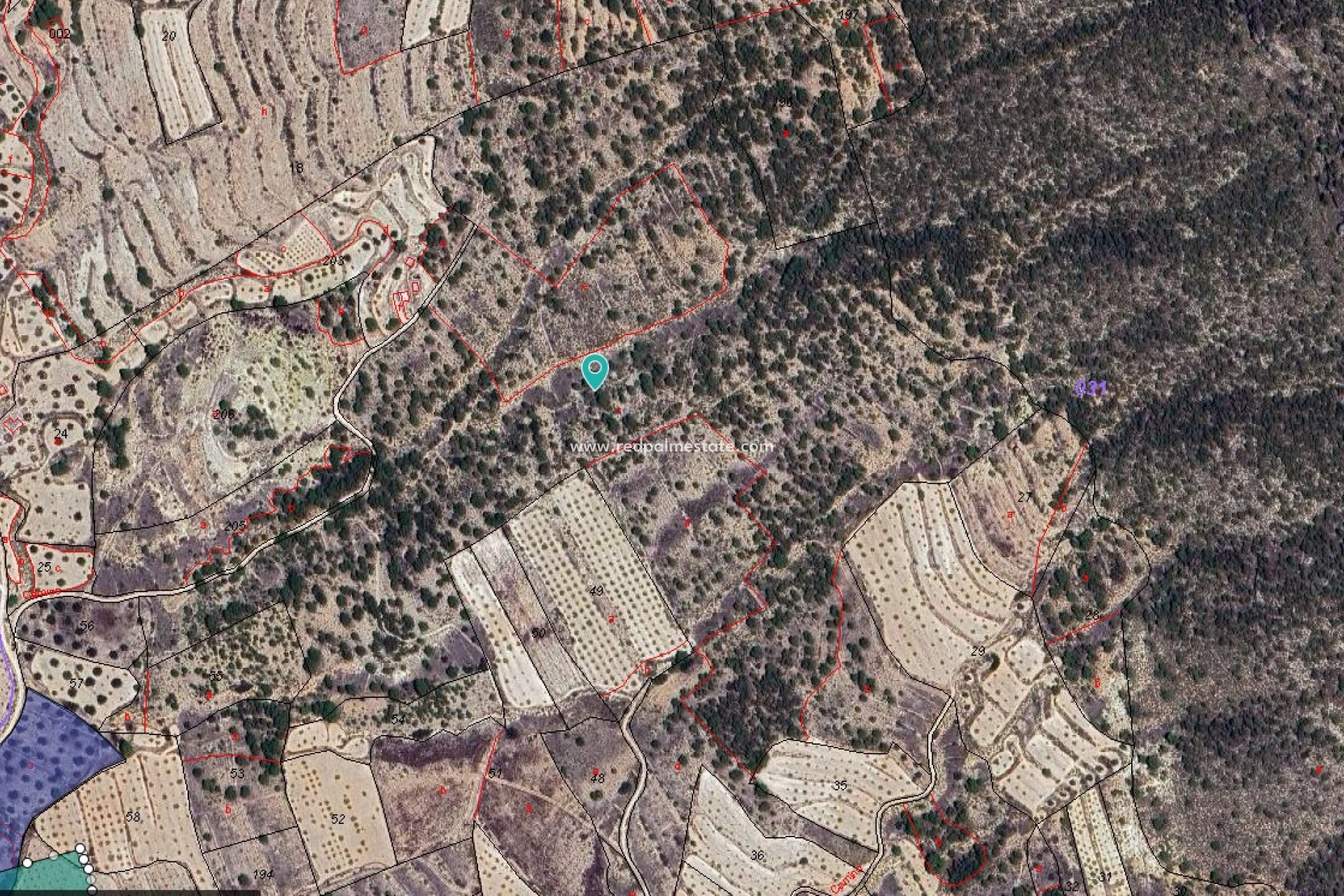 Revente - Parcelle -
Monóvar/Monóver - Inland