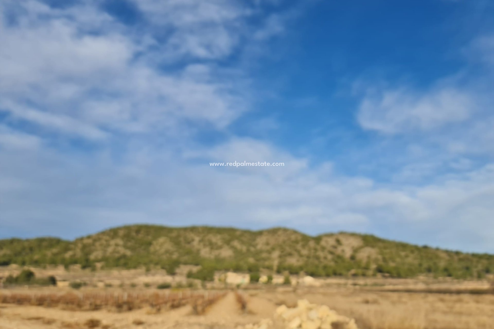 Revente - Parcelle -
Monóvar/Monóver - Inland