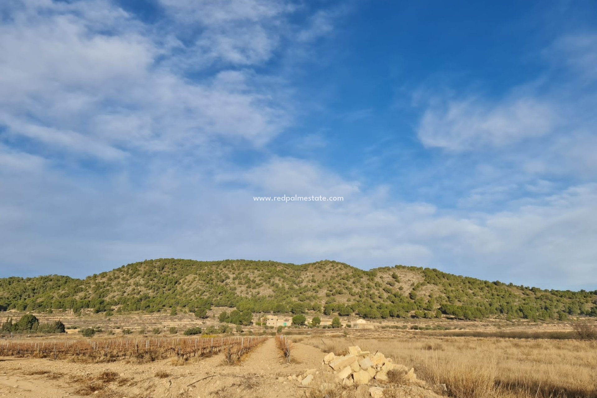 Revente - Parcelle -
Monóvar/Monóver - Inland