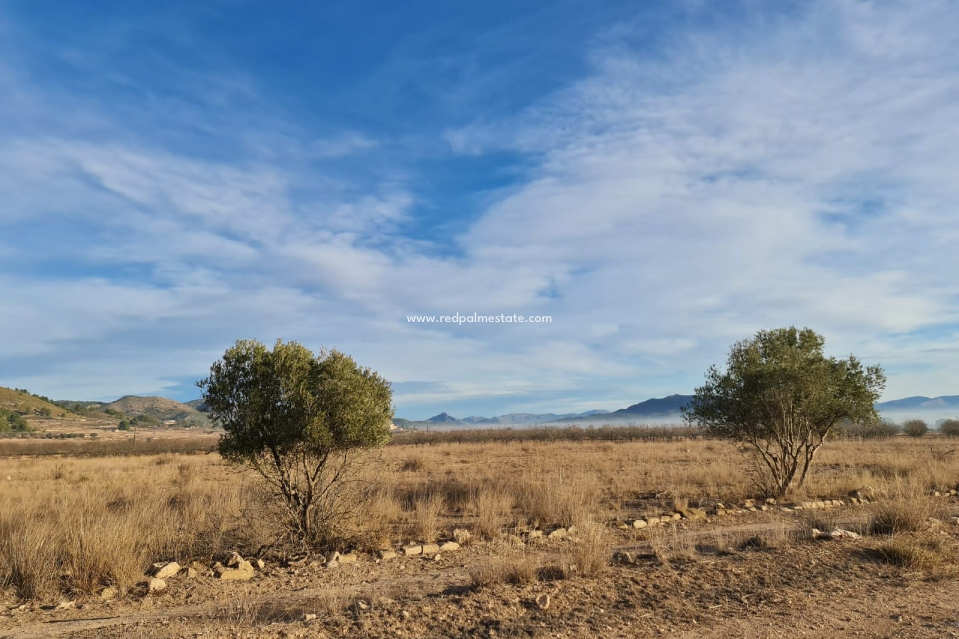 Revente - Parcelle -
Monóvar/Monóver - Inland