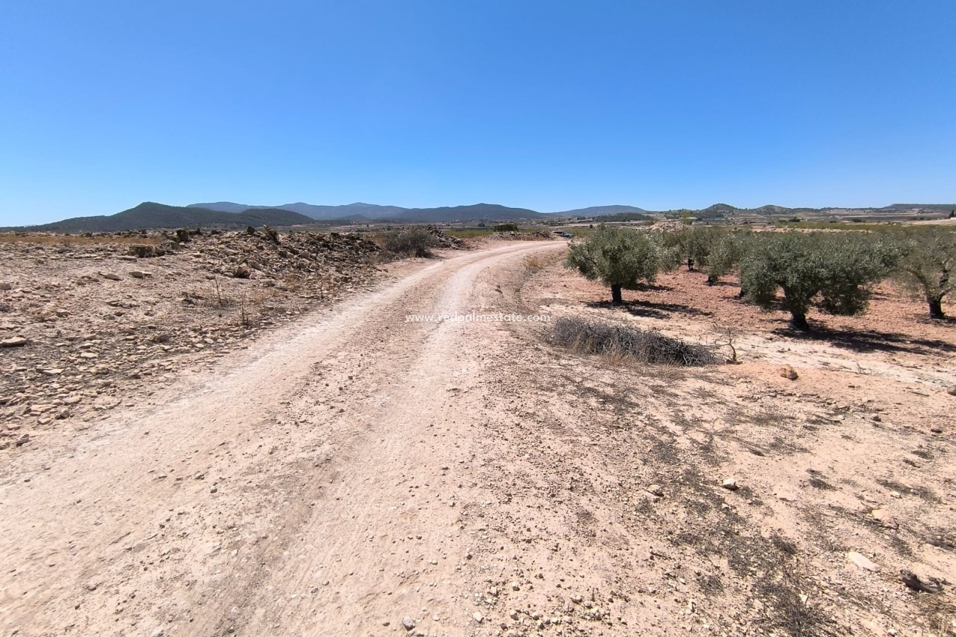 Revente - Parcelle -
Monóvar/Monóver - Inland
