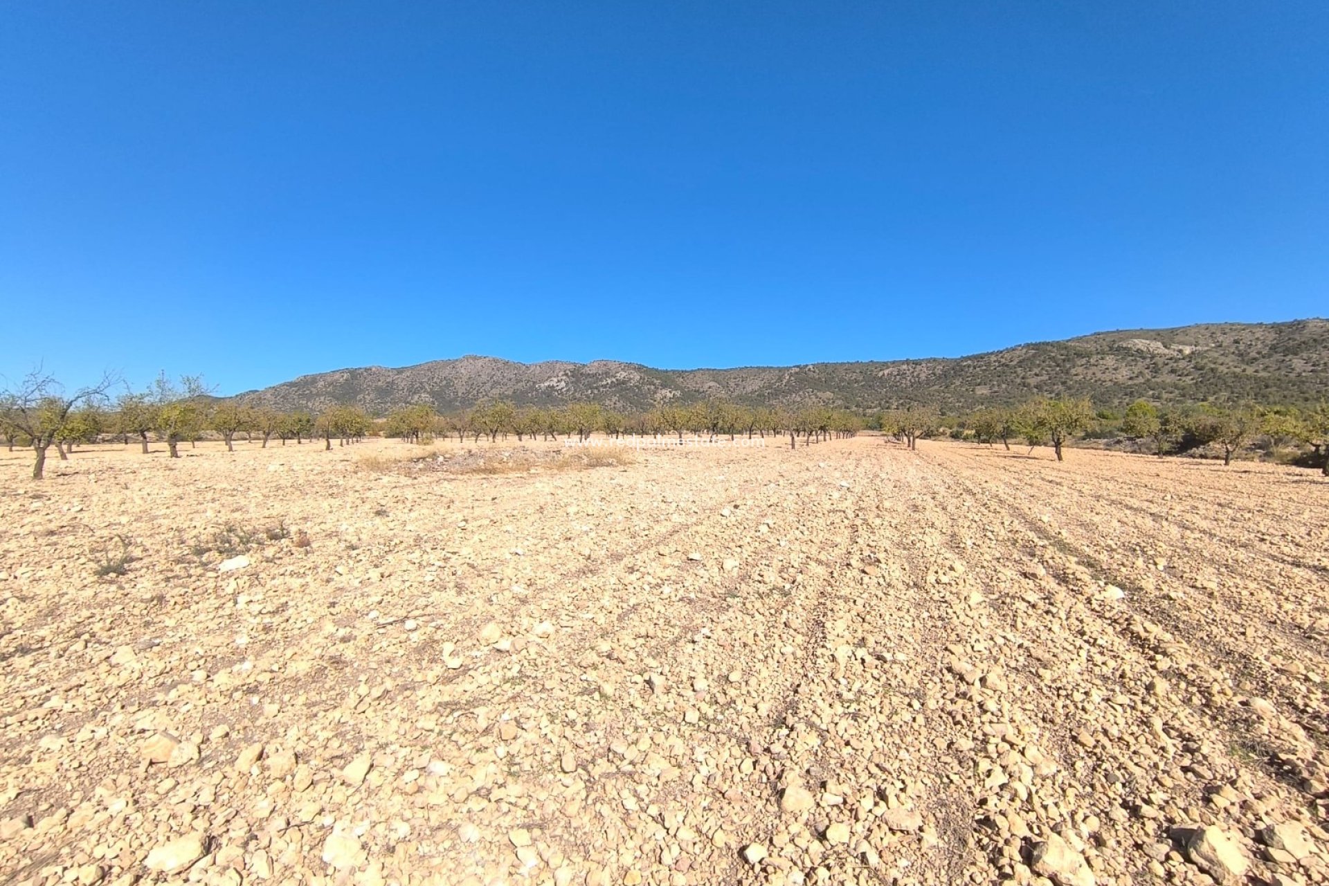 Revente - Parcelle -
Monóvar/Monóver - Inland