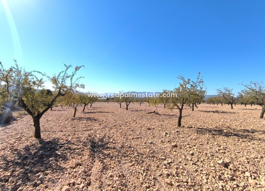 Revente - Parcelle -
Monóvar/Monóver - Inland