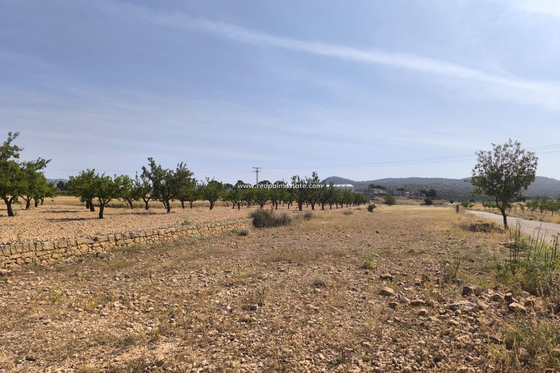 Revente - Parcelle -
Monóvar/Monóver - Inland