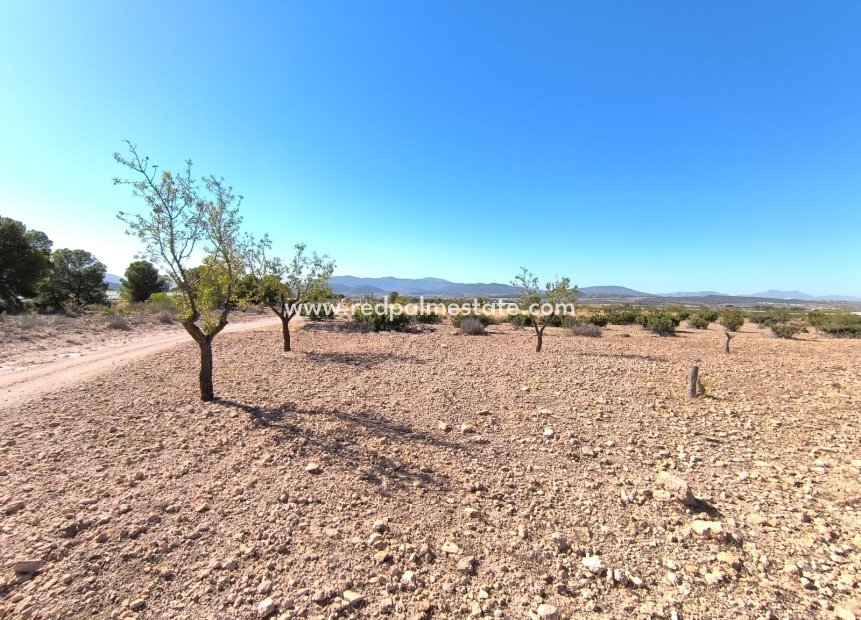 Revente - Parcelle -
Monóvar/Monóver - Inland