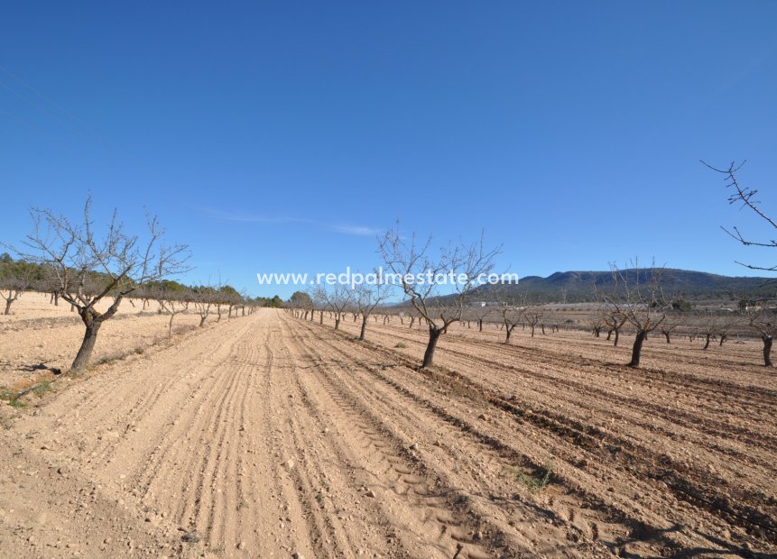 Revente - Parcelle -
Monóvar/Monóver - Inland