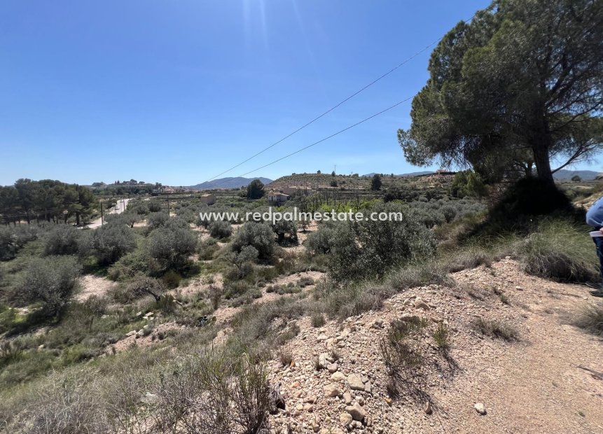 Revente - Parcelle -
Monóvar/Monóver - Inland