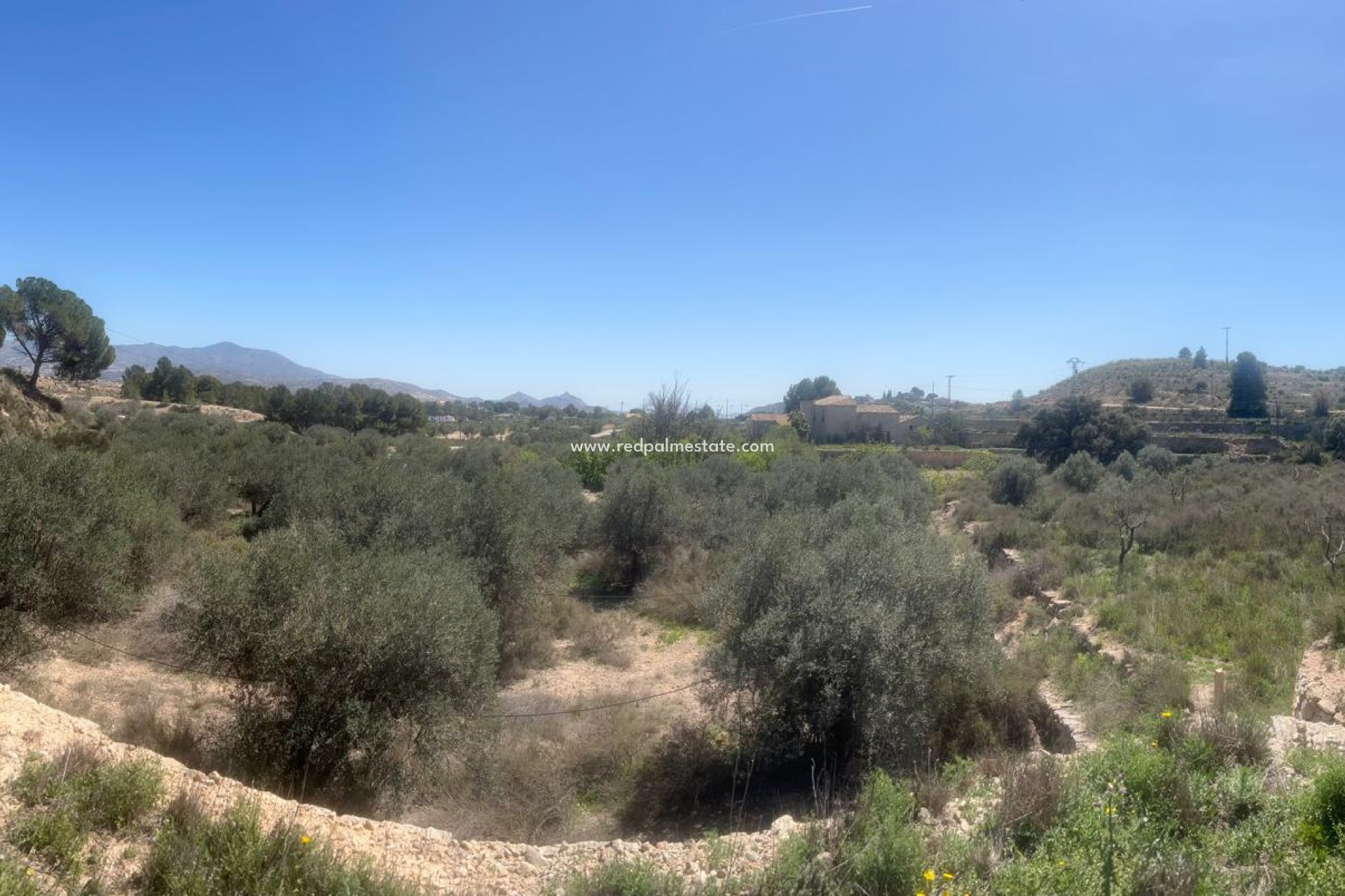 Revente - Parcelle -
Monóvar/Monóver - Inland