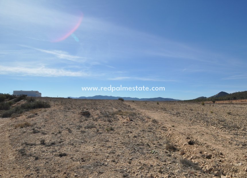 Revente - Parcelle -
Monóvar/Monóver - Inland