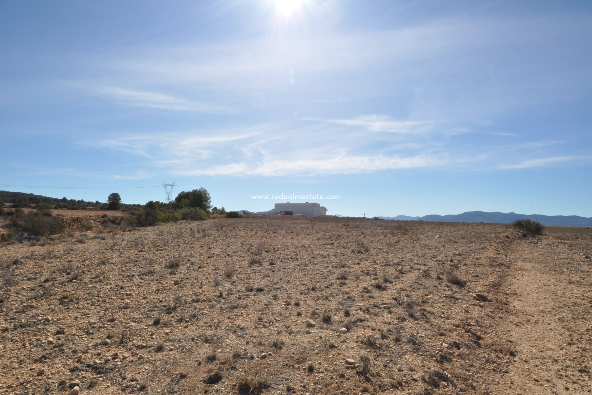 Revente - Parcelle -
Monóvar/Monóver - Inland