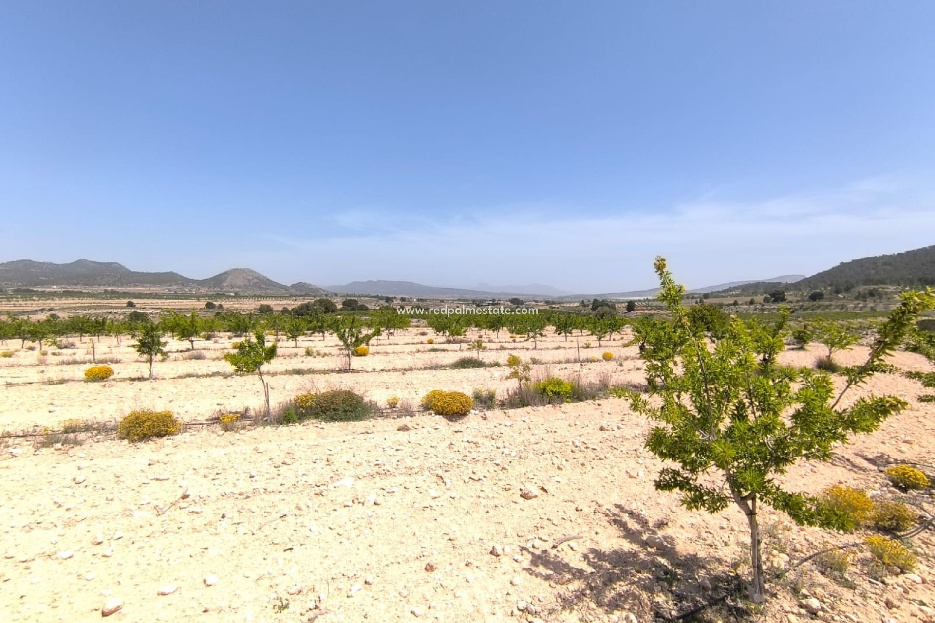 Revente - Parcelle -
Monóvar/Monóver - Inland