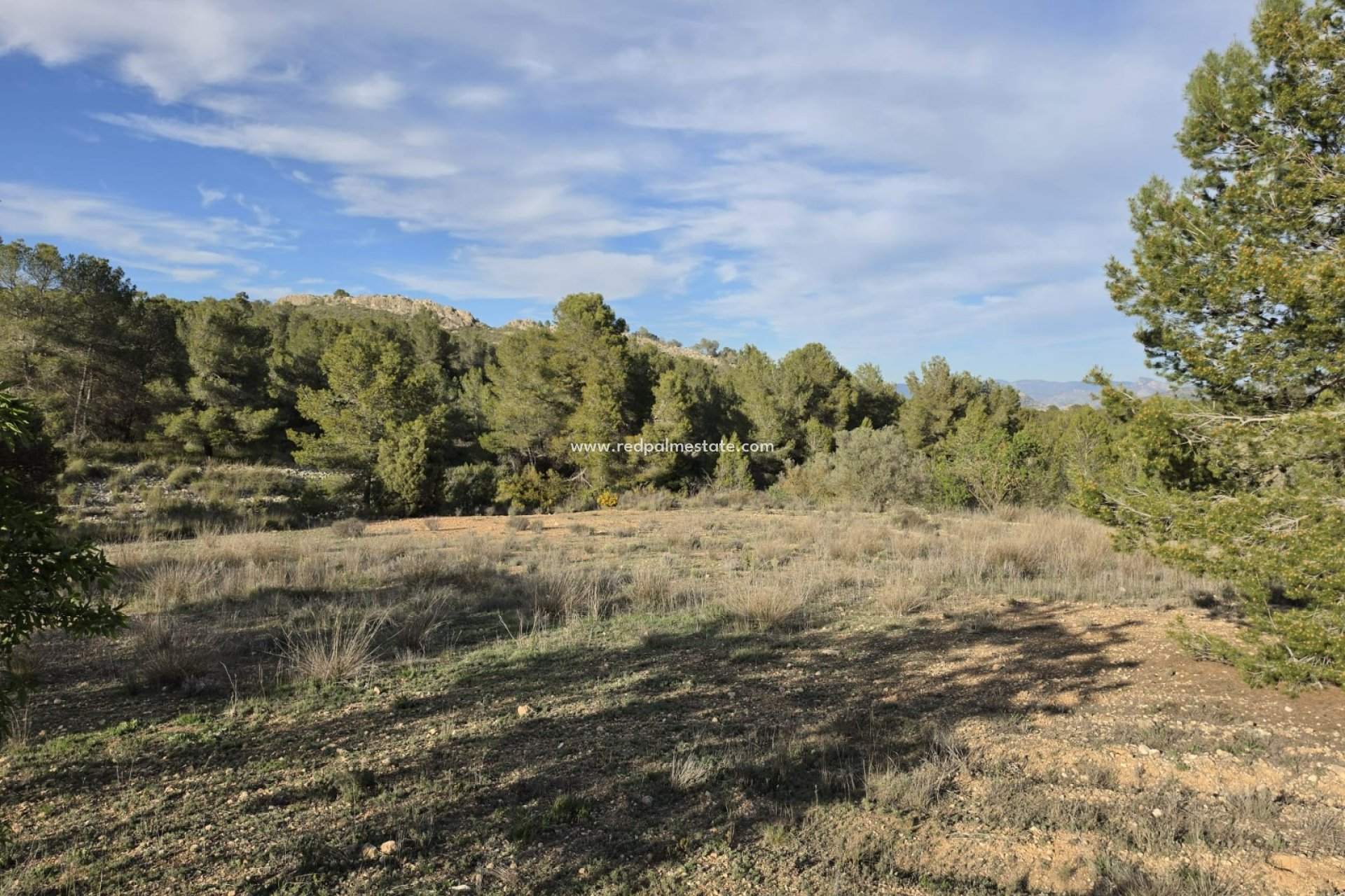 Revente - Parcelle -
Monóvar/Monóver - Inland