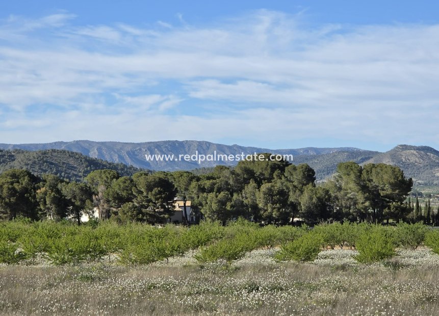 Revente - Parcelle -
Monóvar/Monóver - Inland