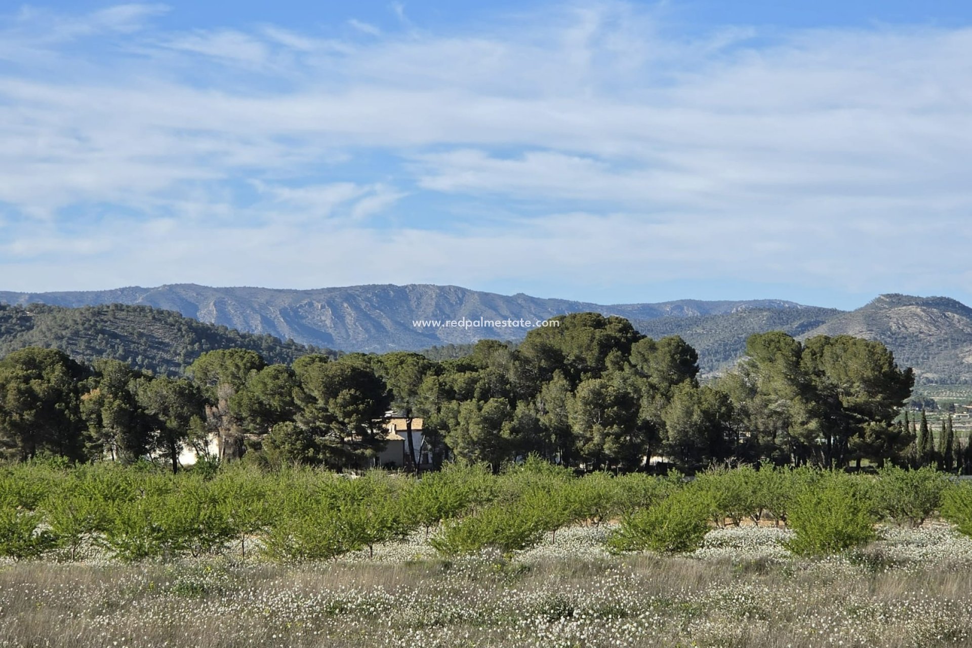 Revente - Parcelle -
Monóvar/Monóver - Inland