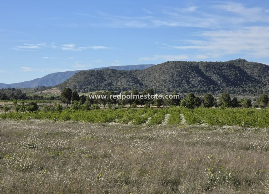 Revente - Parcelle -
Monóvar/Monóver - Inland