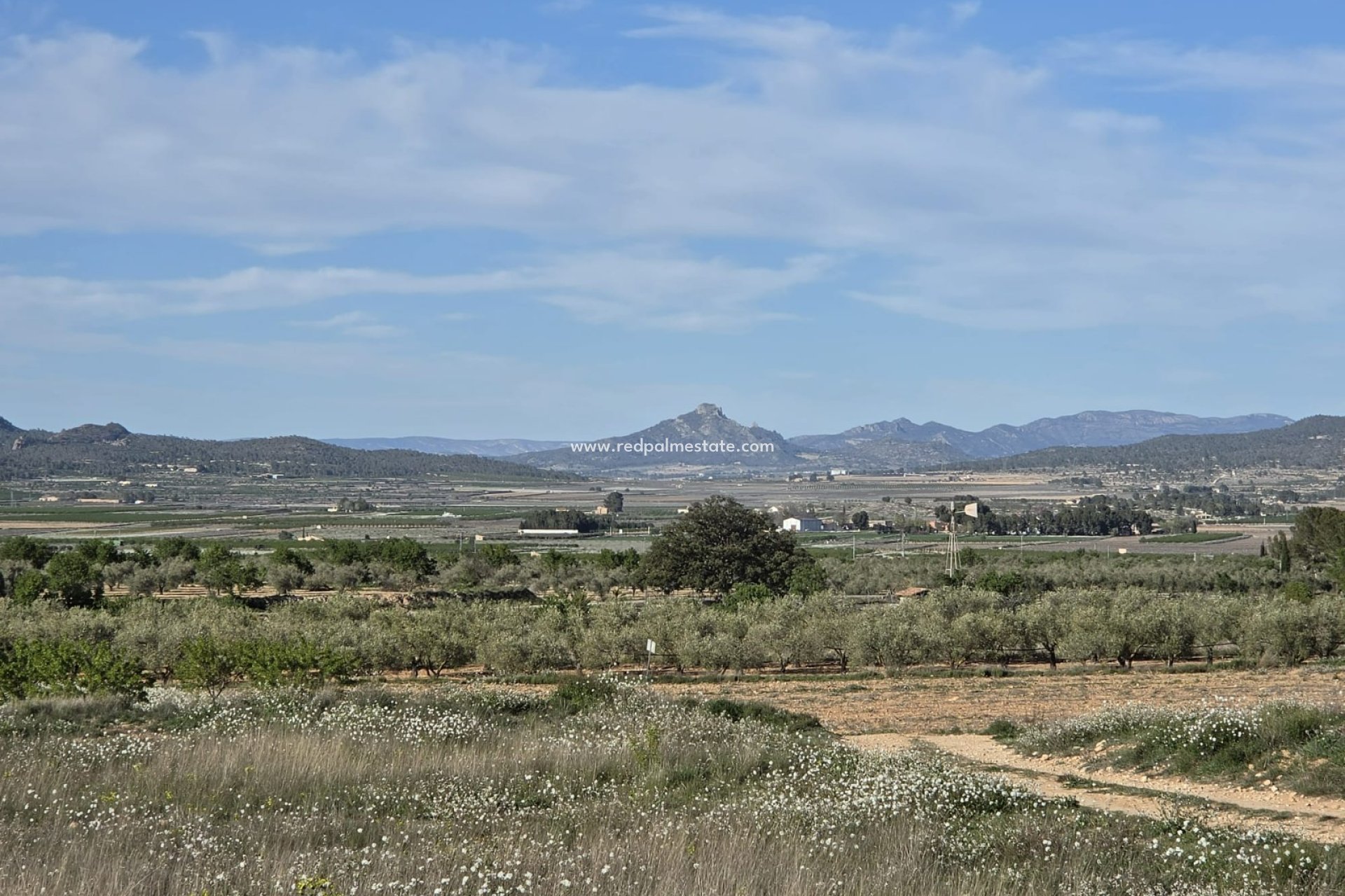 Revente - Parcelle -
Monóvar/Monóver - Inland
