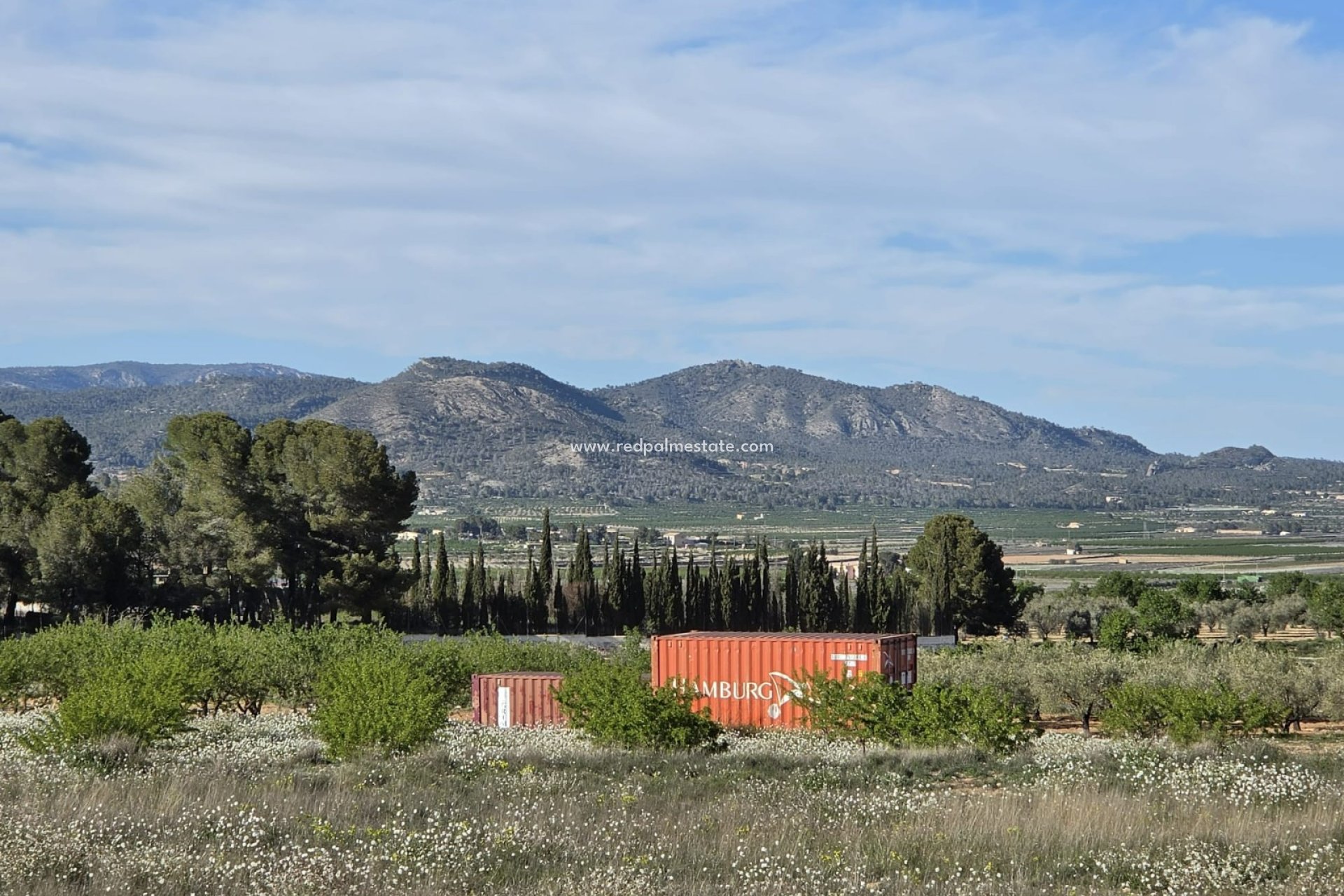 Revente - Parcelle -
Monóvar/Monóver - Inland