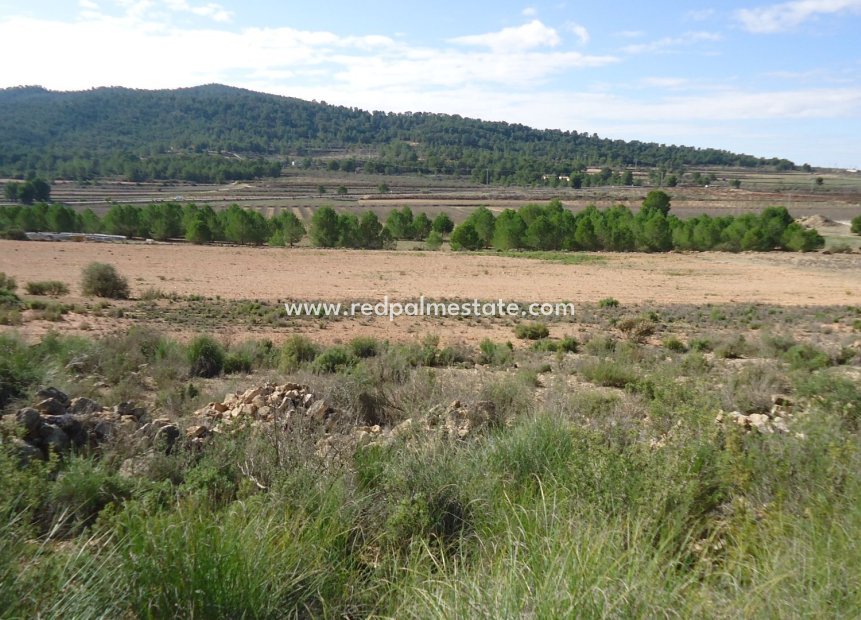 Revente - Parcelle -
Monóvar/Monóver - Inland