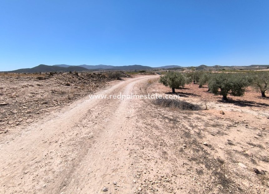 Revente - Parcelle -
Monóvar/Monóver - Inland