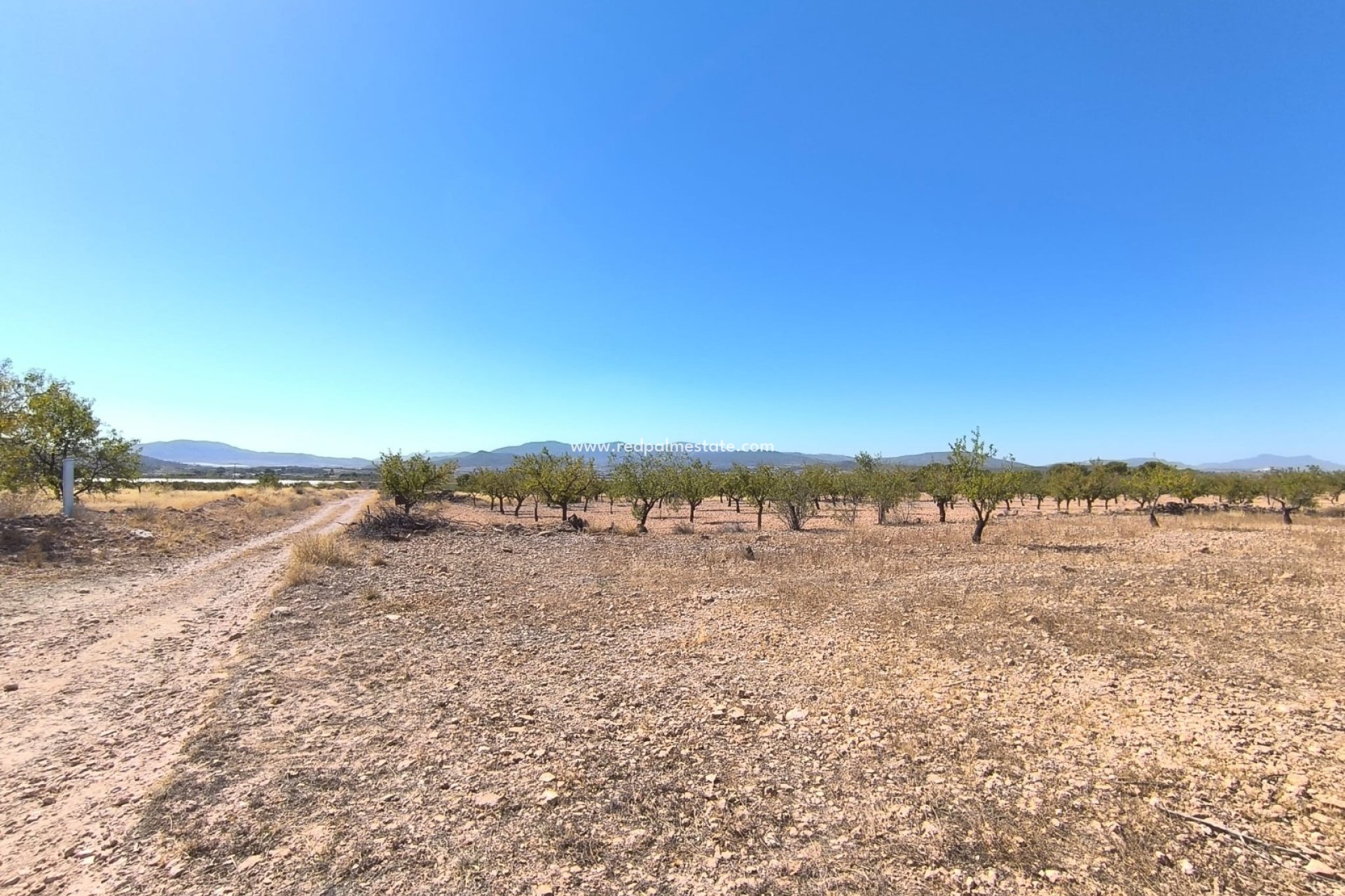 Revente - Parcelle -
Monóvar/Monóver - Inland