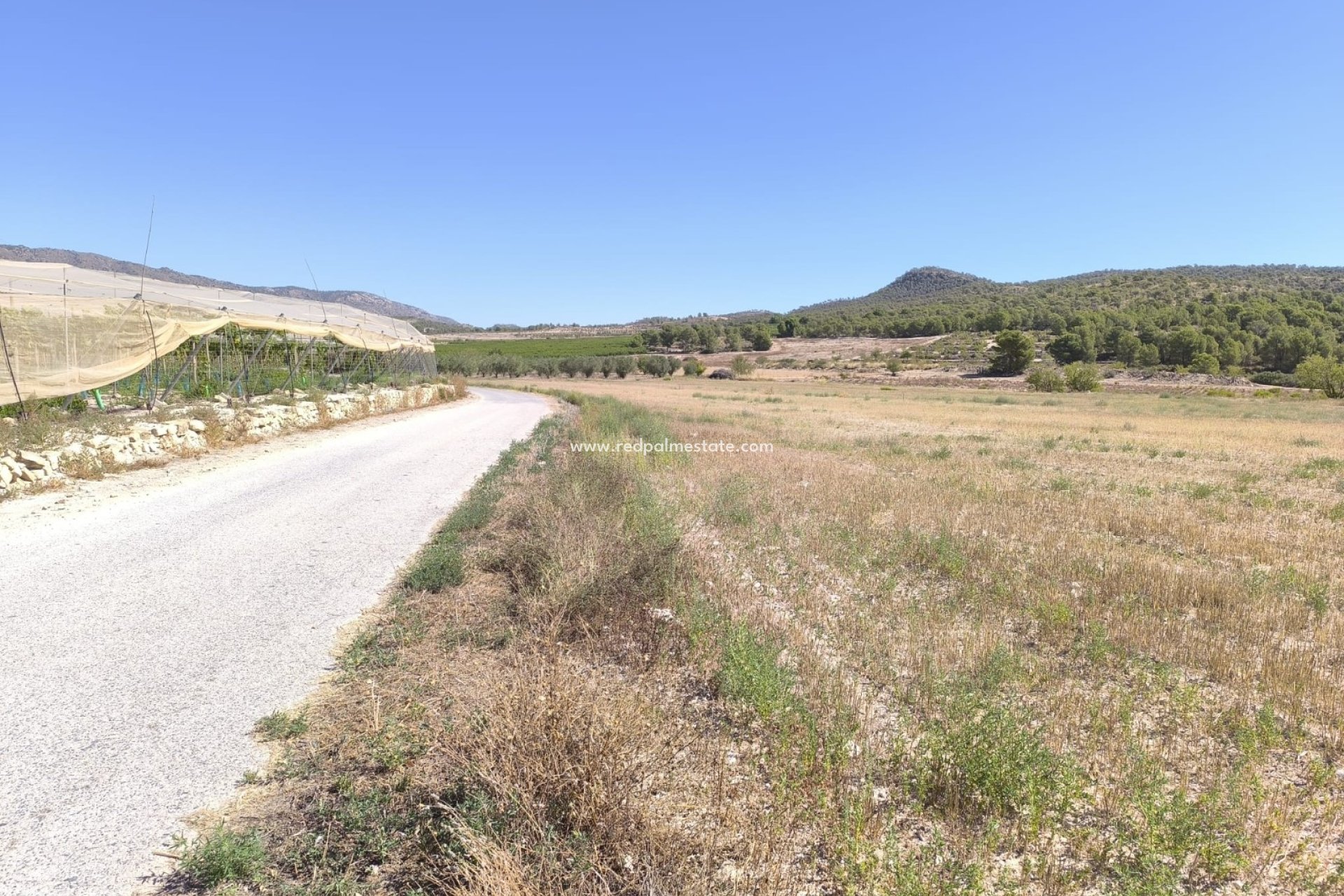 Revente - Parcelle -
Monóvar/Monóver - Inland