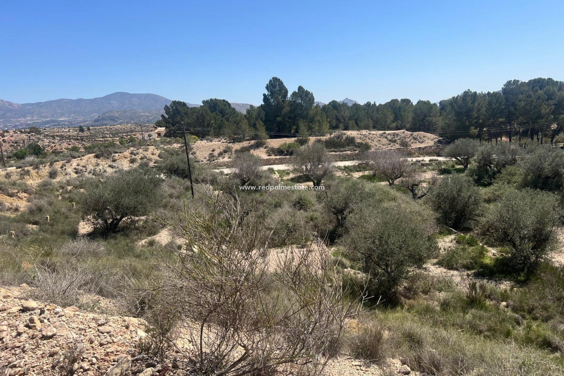 Revente - Parcelle -
Monóvar/Monóver - Inland