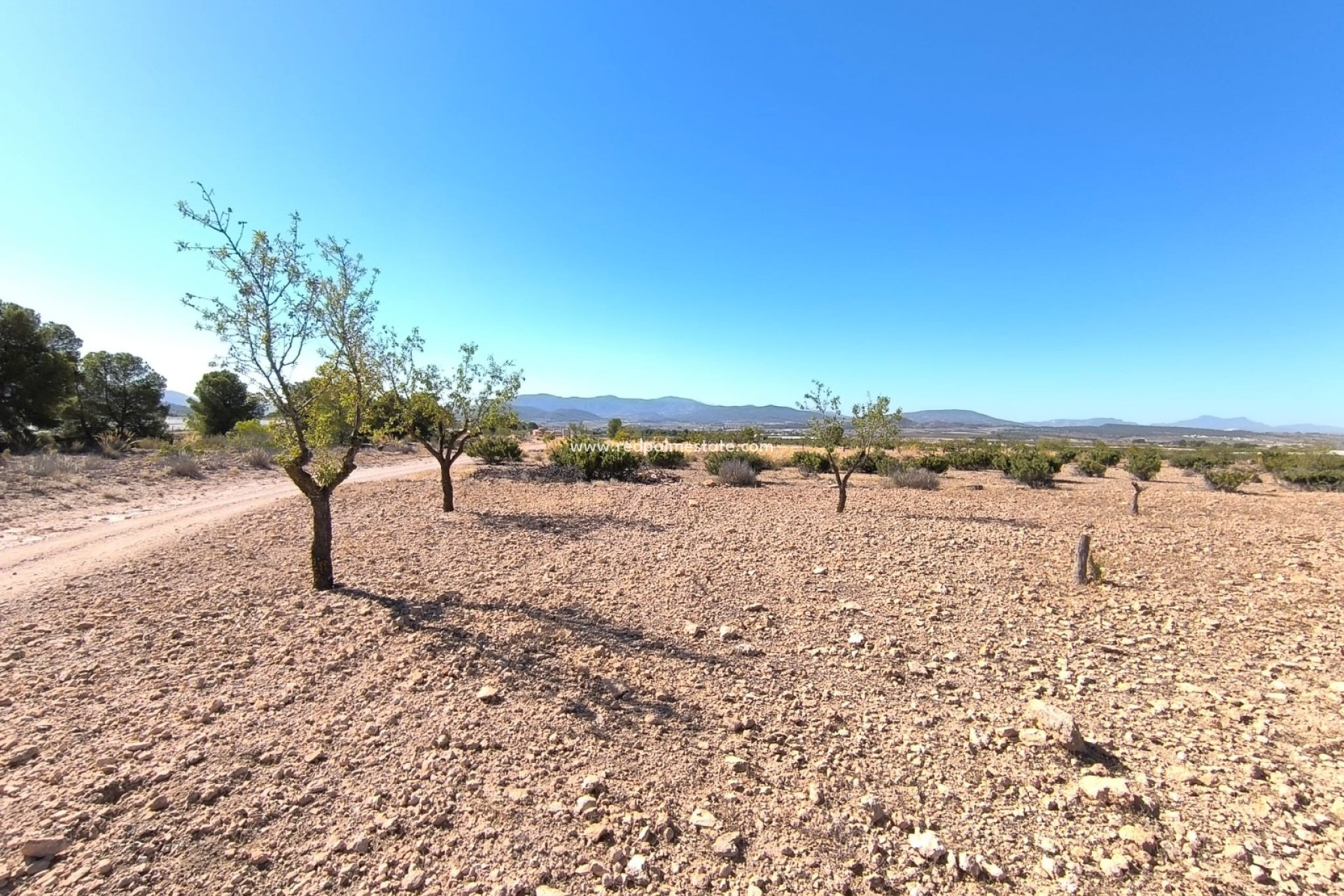 Revente - Parcelle -
Monóvar/Monóver - Inland