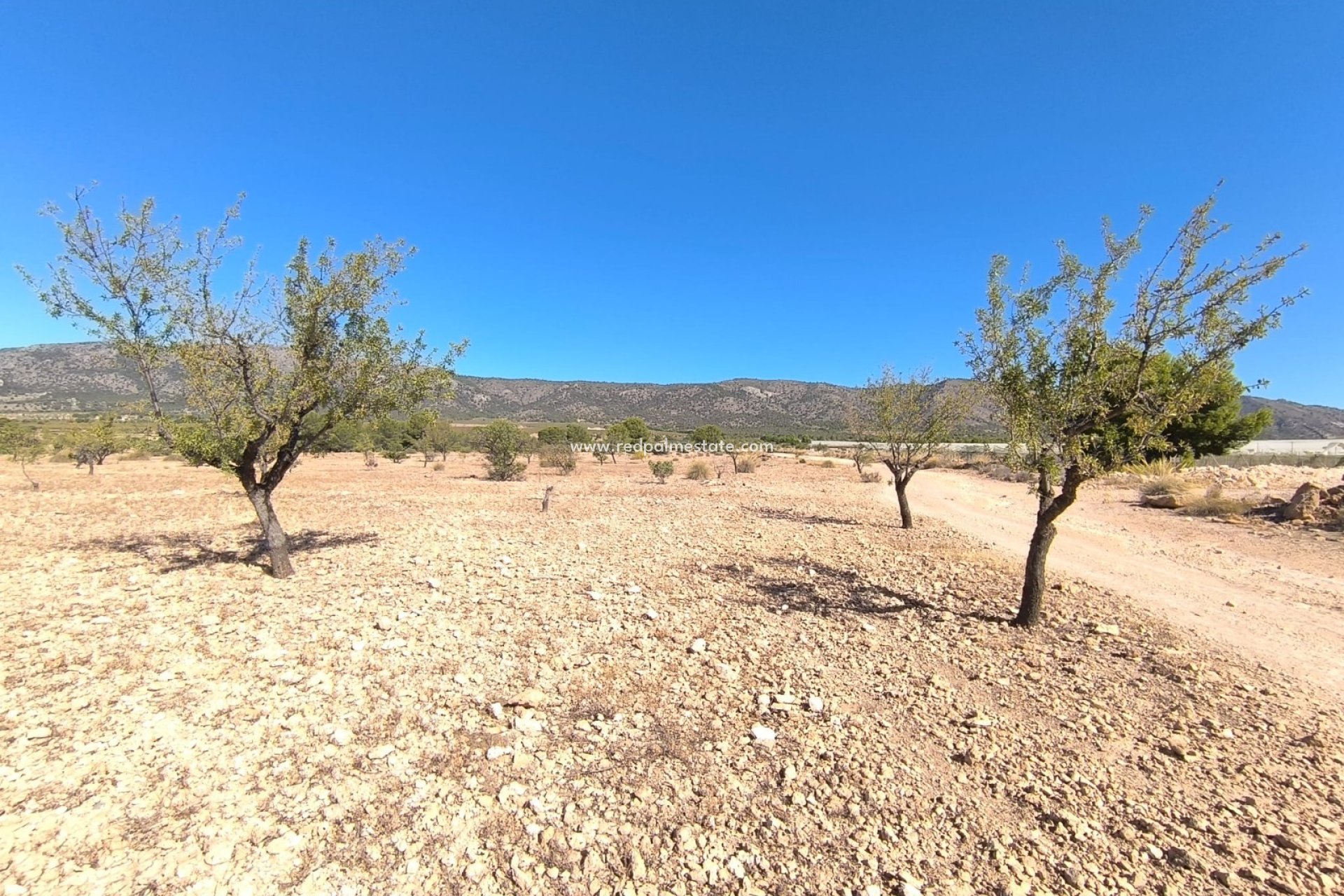 Revente - Parcelle -
Monóvar/Monóver - Inland