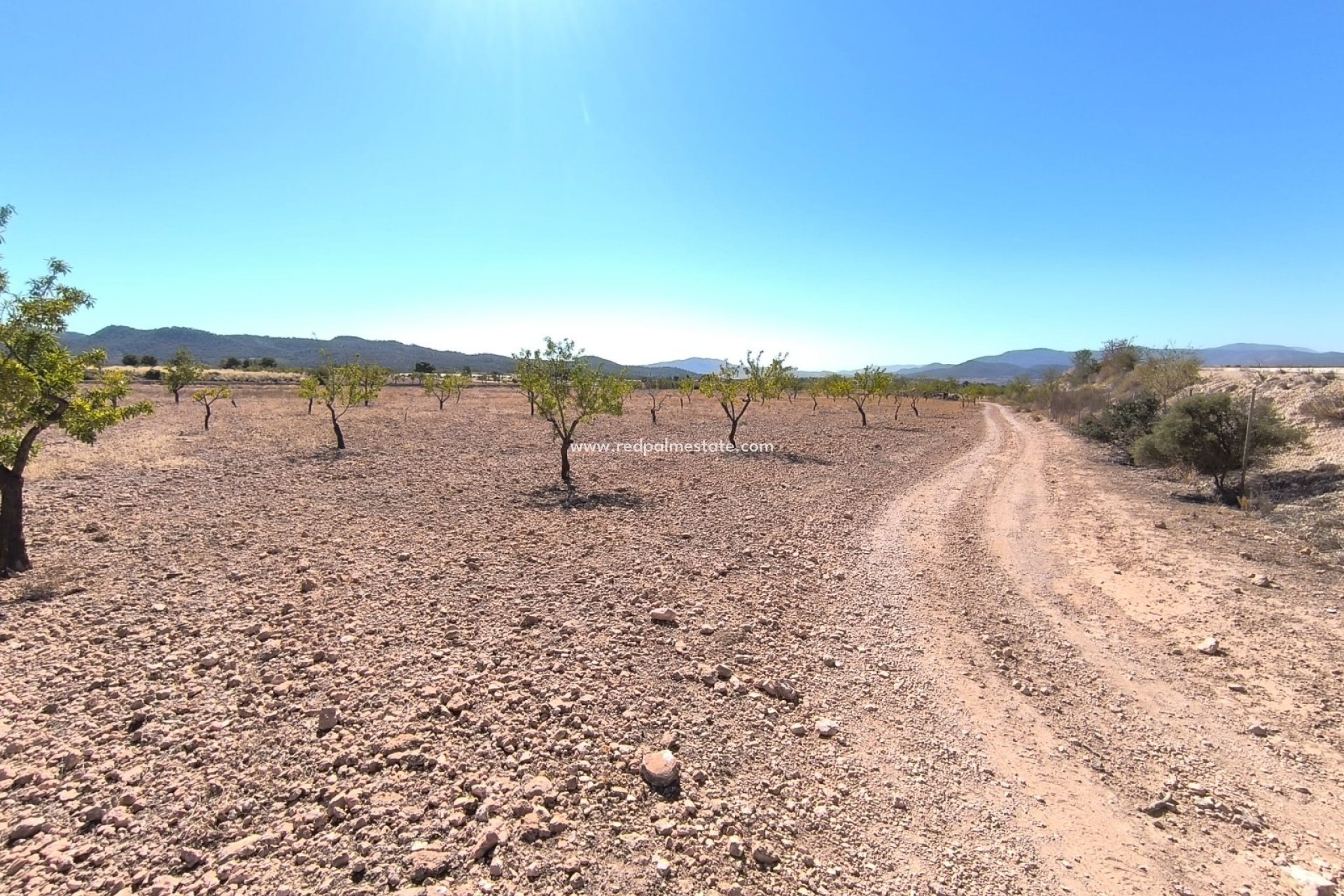 Revente - Parcelle -
Monóvar/Monóver - Inland