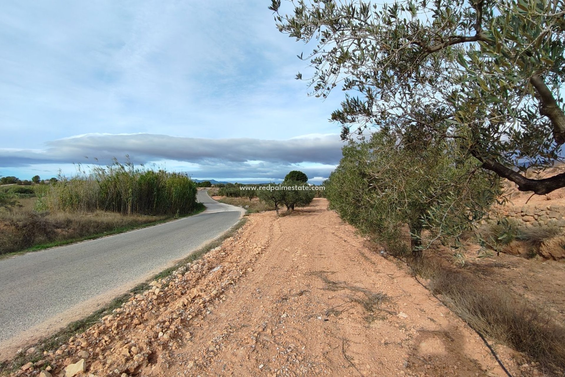 Revente - Parcelle -
Monóvar/Monóver - Inland