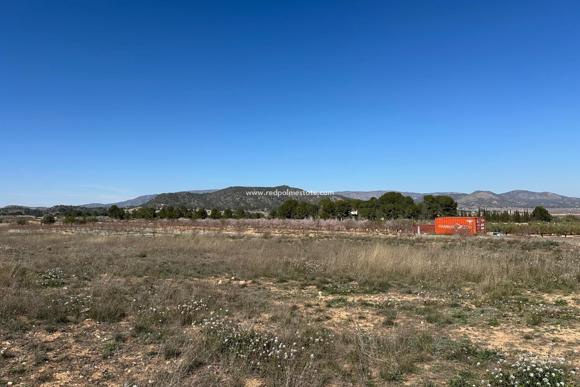 Revente - Parcelle -
Monóvar/Monóver - Inland