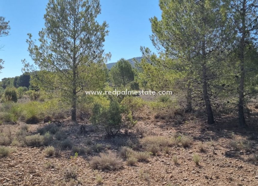 Revente - Parcelle -
Monóvar/Monóver - Inland