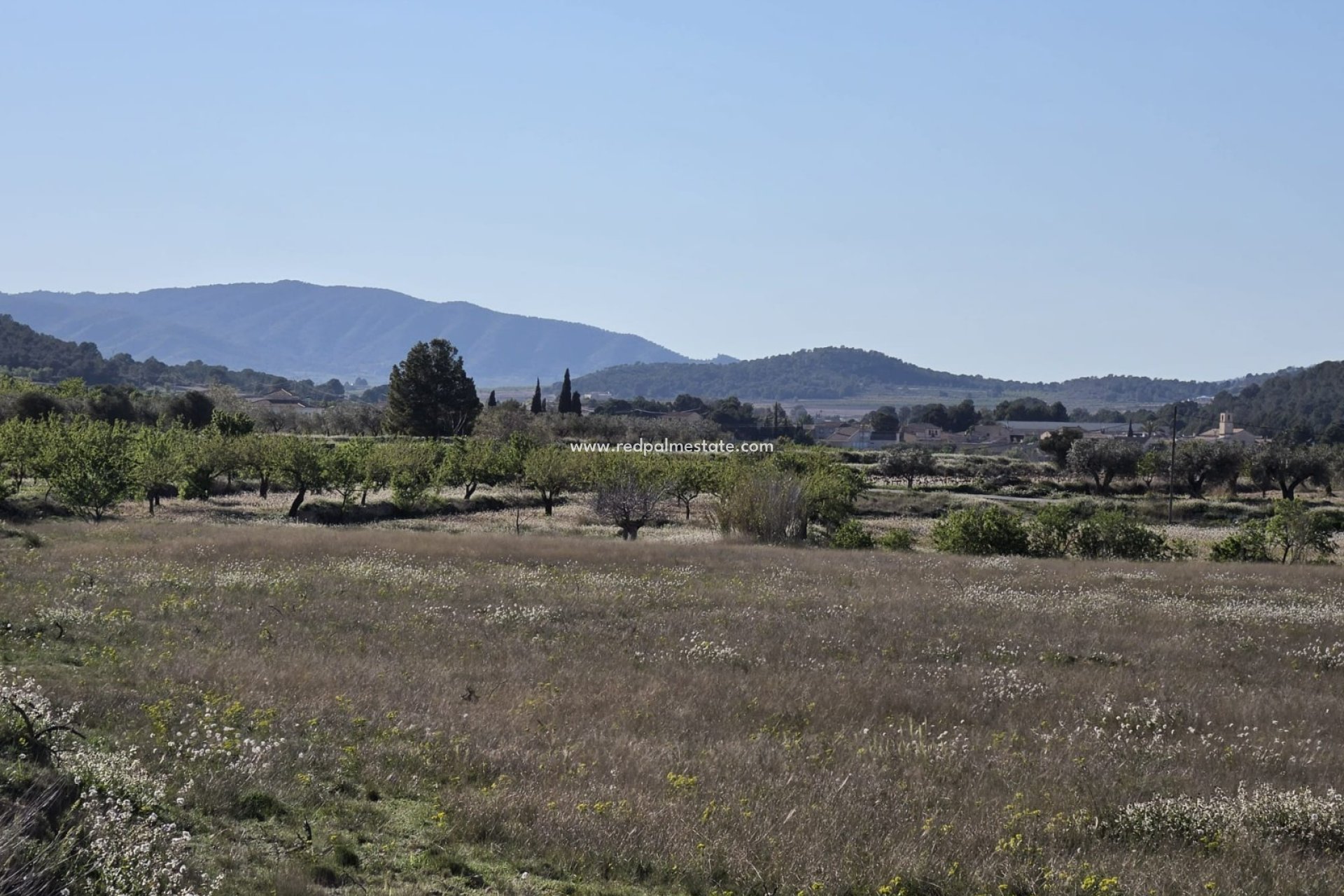 Revente - Parcelle -
Monóvar/Monóver - Inland