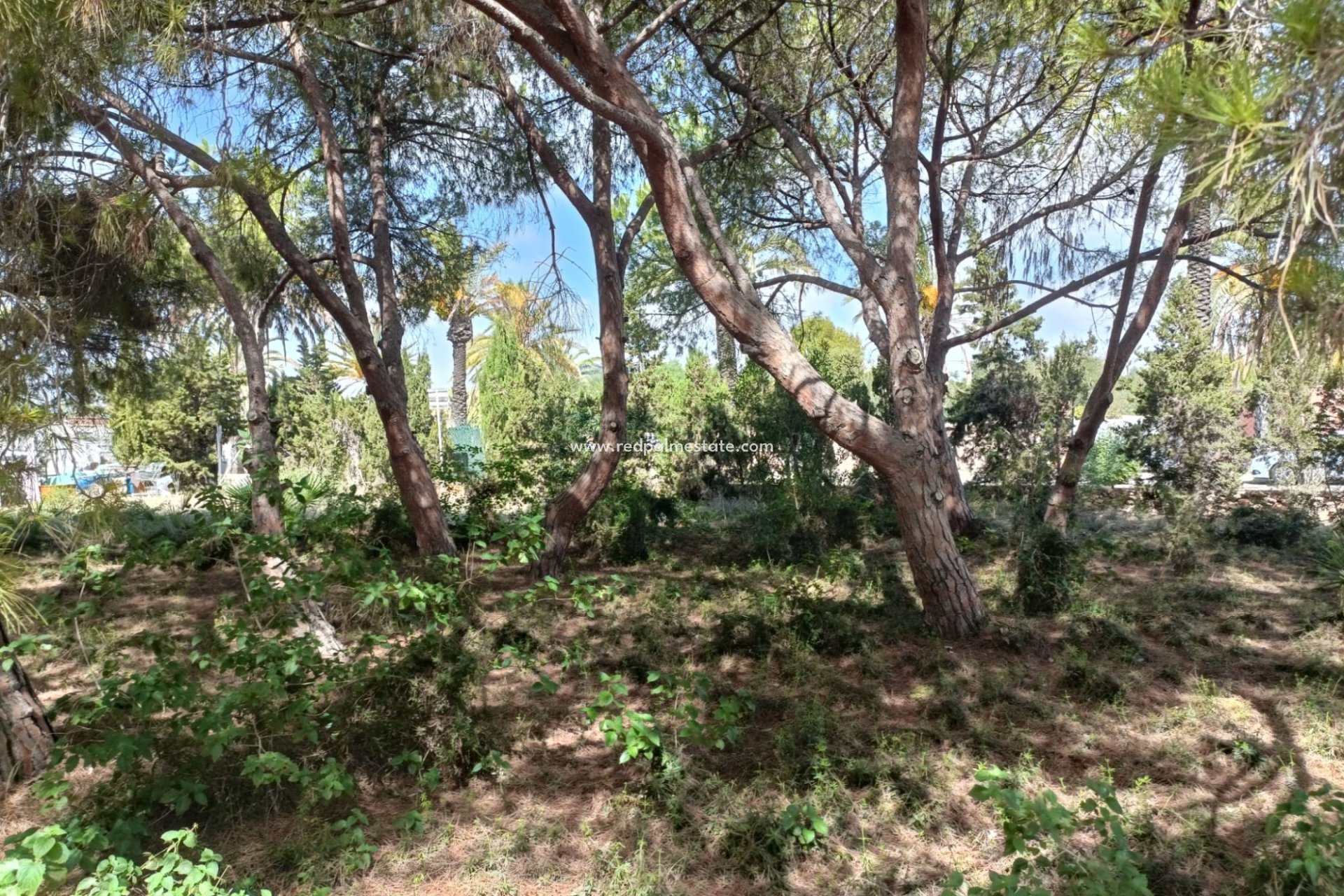 Revente - Parcelle -
Orihuela Costa - Cabo Roig