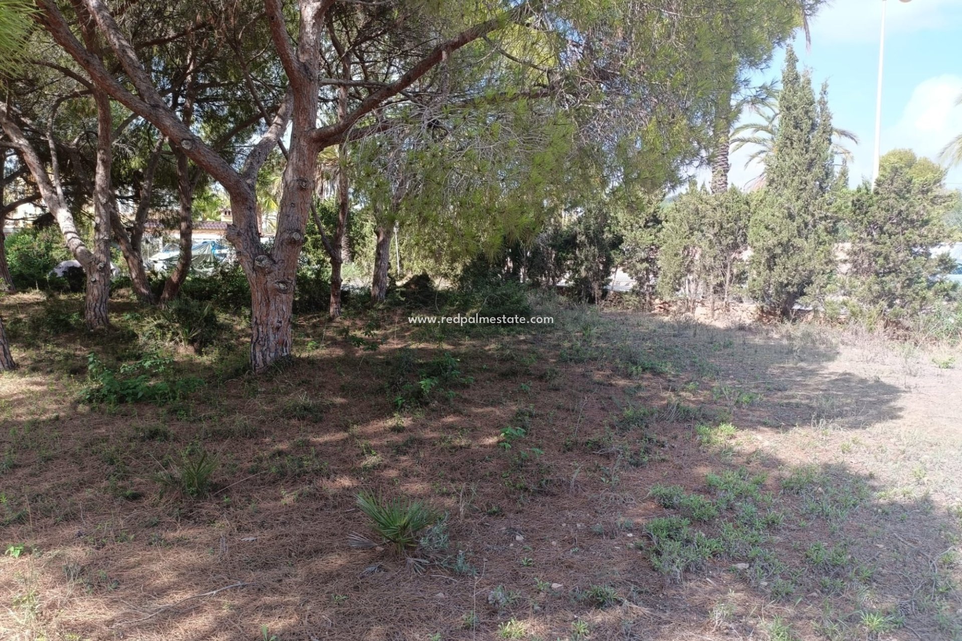 Revente - Parcelle -
Orihuela Costa - Cabo Roig