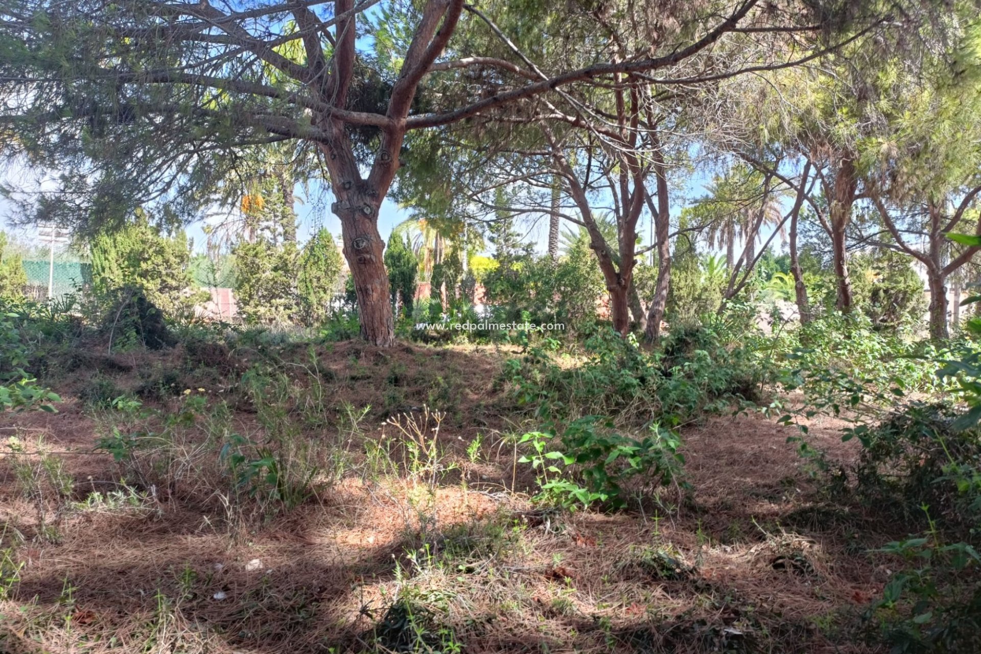 Revente - Parcelle -
Orihuela Costa - Cabo Roig